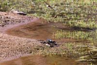 202309_FinkeGeorgeNP_013