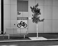 202008_NikonZ7_012