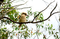 20201225_Hike-012