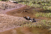 202309_FinkeGeorgeNP_010