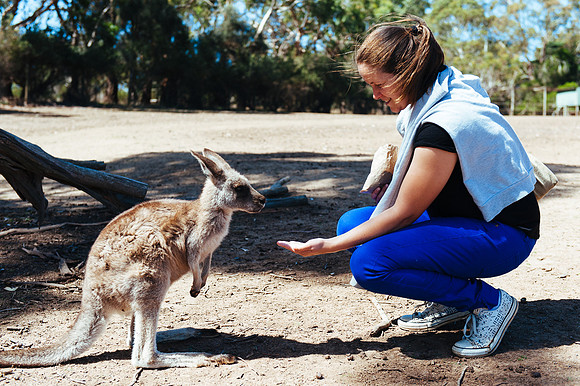 _aus7038jpg_33105795045_o