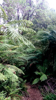 dsc_0149jpg_33216870702_o