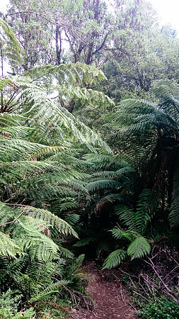 dsc_0149jpg_33216870702_o