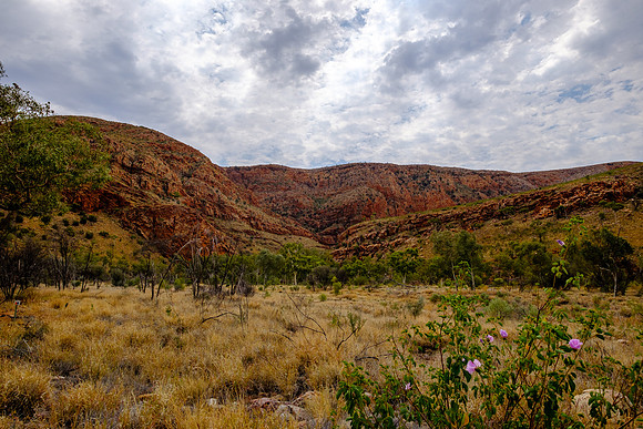 202309_WestMacDonnell_045