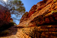 202309_KingsCanyon_019