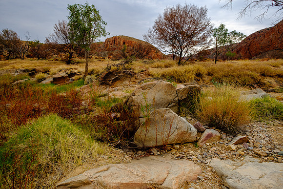 202309_WestMacDonnell_066