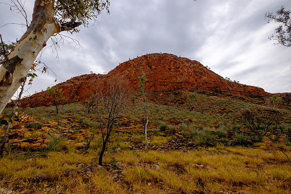 202309_WestMacDonnell_070
