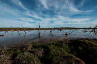 202309_MelbourneAlice_002