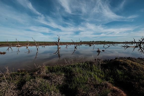 202309_MelbourneAlice_002
