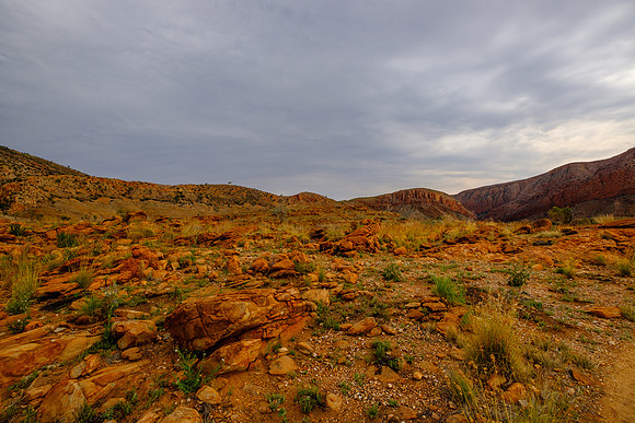 202309_WestMacDonnell_061
