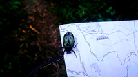 dsc_0155jpg_32529406874_o