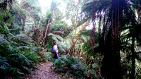 dsc_0138jpg_32529401704_o