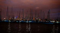 20170305 St. Kilda incl. Penguins