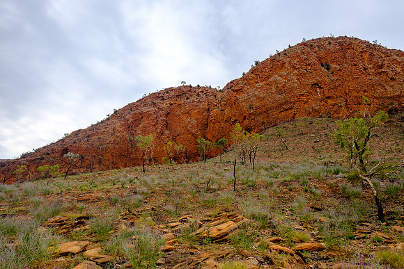 202309_WestMacDonnell_071