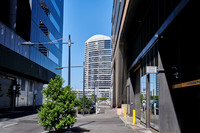 202008_NikonZ7_011