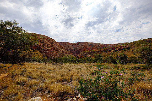 202309_WestMacDonnell_044