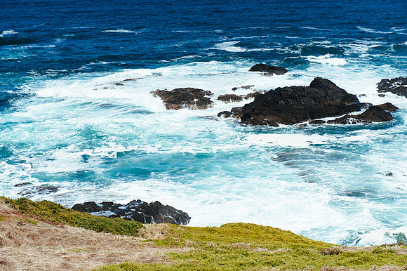 _aus6890jpg_32949216042_o