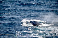 12-_DSC3157