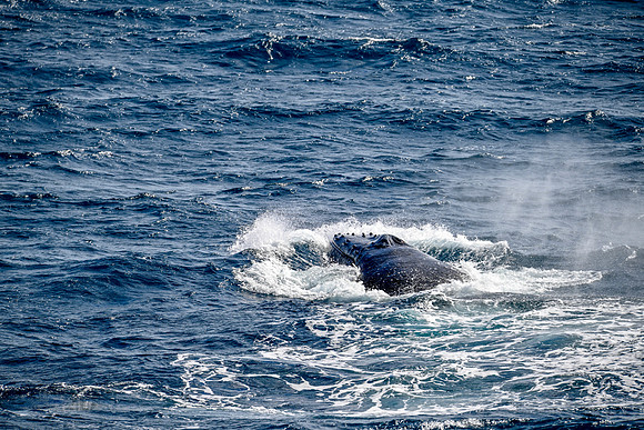 12-_DSC3157
