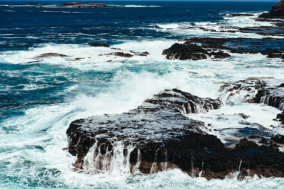 _aus6919jpg_32949233242_o