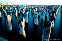 sunset_38352674135_o