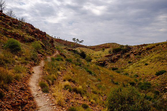 202309_WestMacDonnell_049