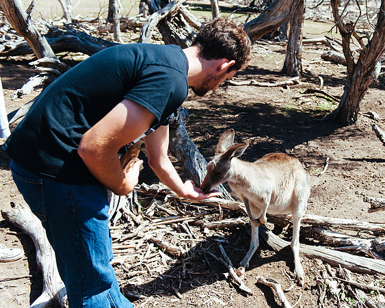 _aus7044jpg_33105800515_o