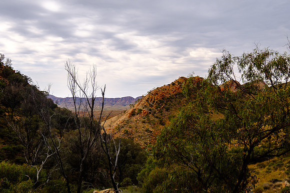 202309_WestMacDonnell_056