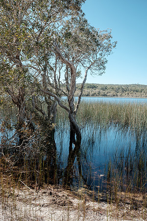 202408_CampingStreddi_008
