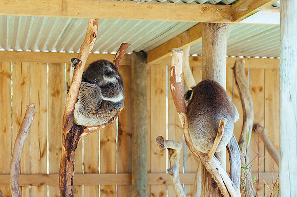 _aus6996jpg_32723300920_o
