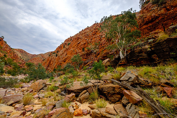 202309_WestMacDonnell_076