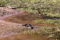 202309_FinkeGeorgeNP_012