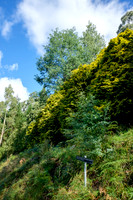 20210424_Arboretum-011